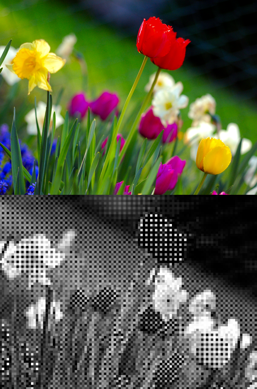 Bayer pattern example