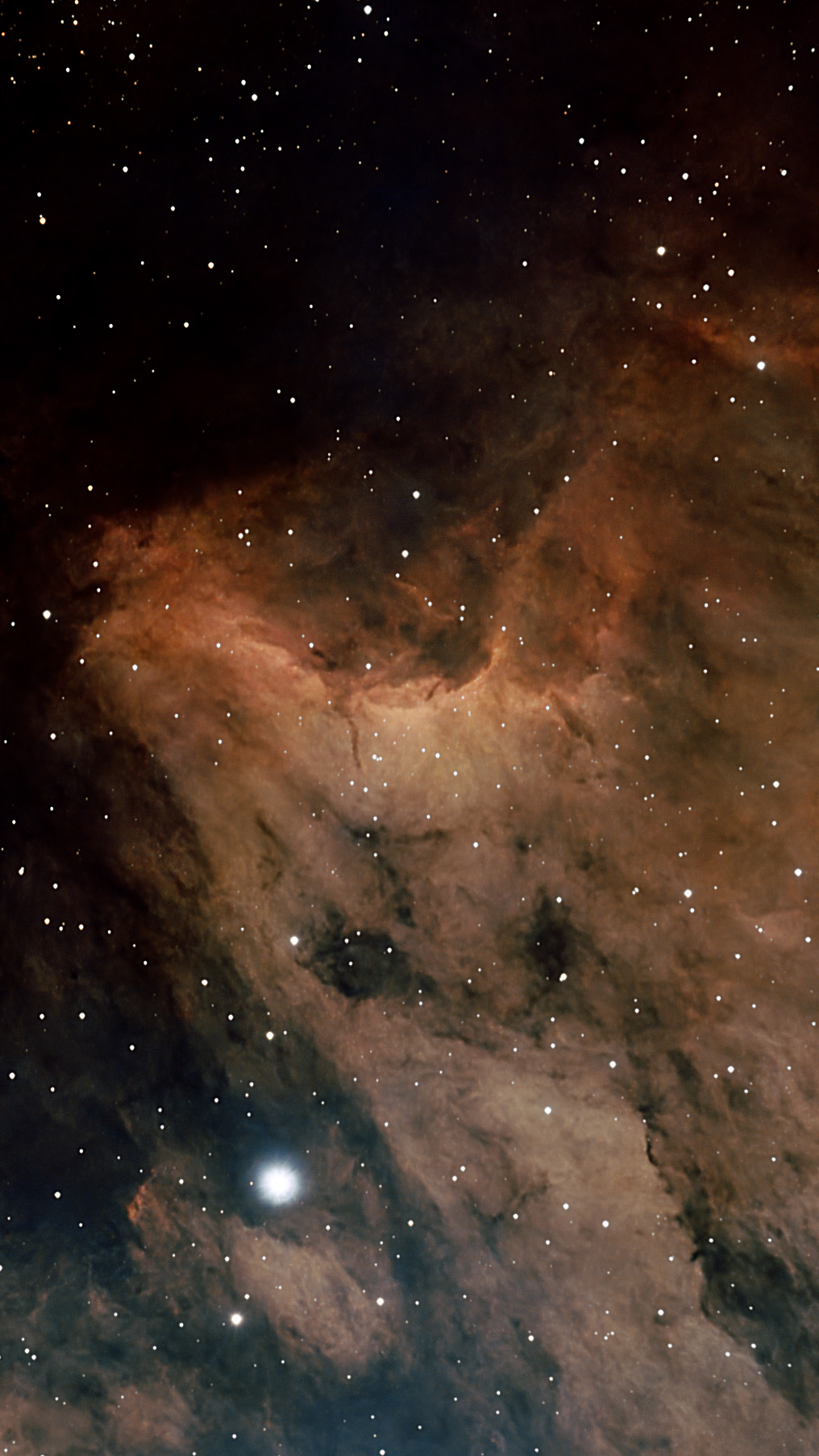 Nébuleuse du Pélican