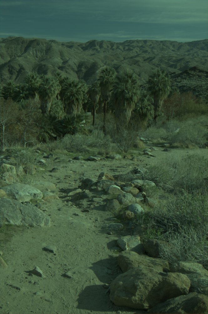 Section 2 example output