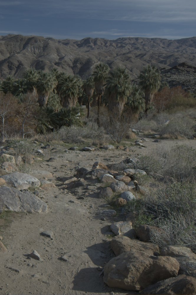 Section 3 example output