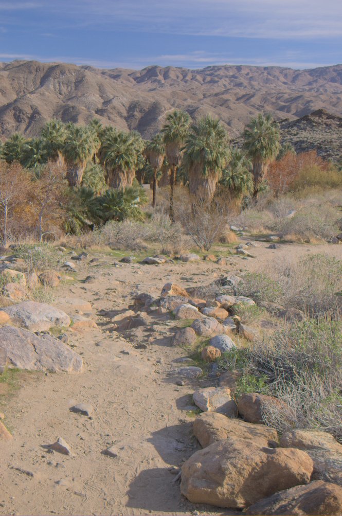 Section 4 example output