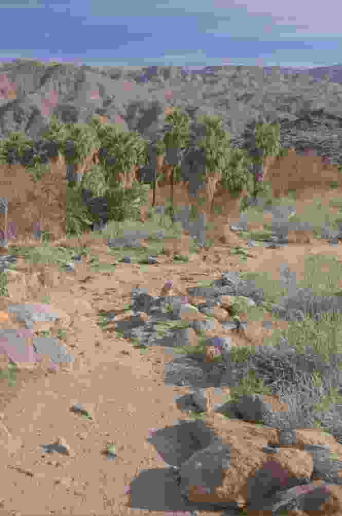 JPEG compression example