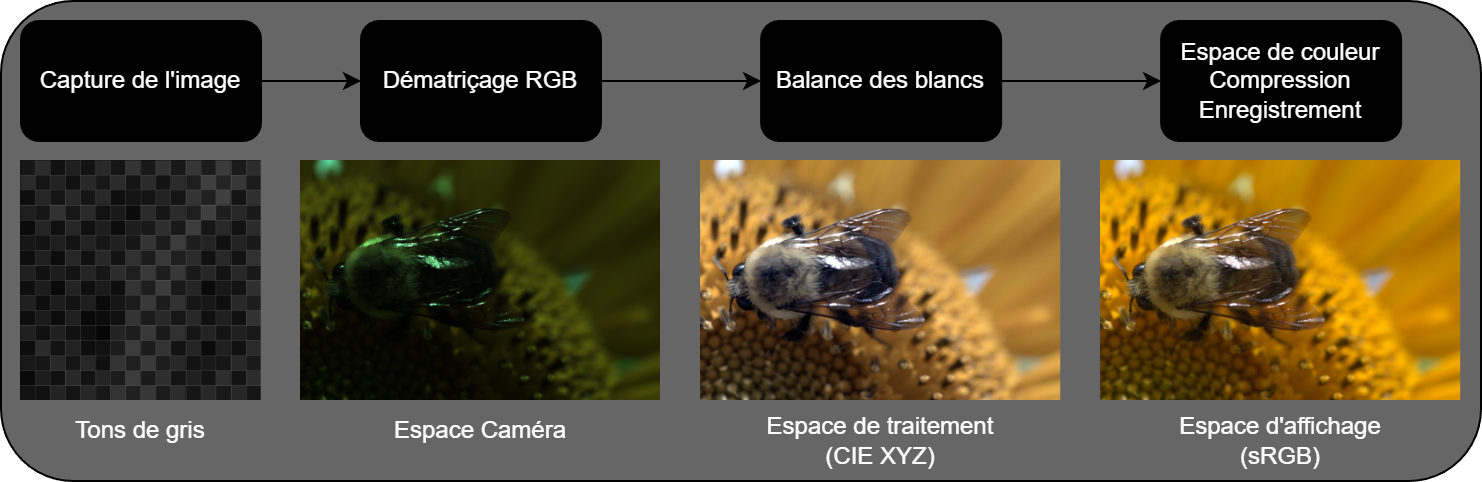 Camera pipeline teaser